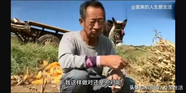 私人买土地多少钱一亩要什么手续【私人买土地多少钱一亩要什么手续呢】