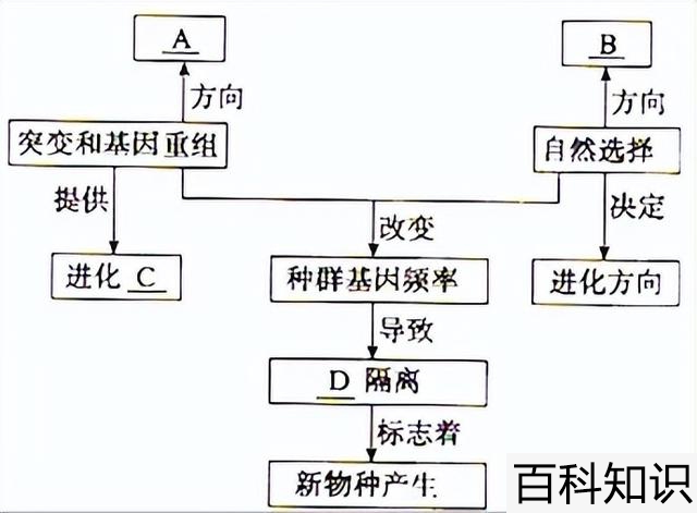 马和猪在一起对谁不利（马和猪在一起对谁不利）