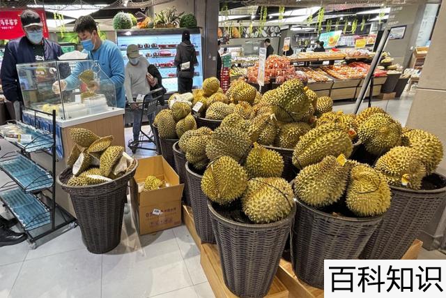 什么榴莲最贵最好吃（什么榴莲最贵最好吃图片）