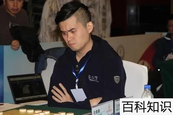 中国象棋十大高手排名，中国象棋最新排名前十的人是谁