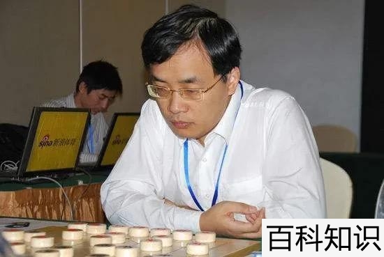 中国象棋十大高手排名，中国象棋最新排名前十的人是谁