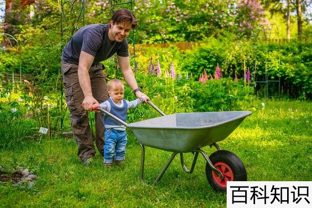 老婆出轨儿子怎么办，离婚了想跟儿子睡觉