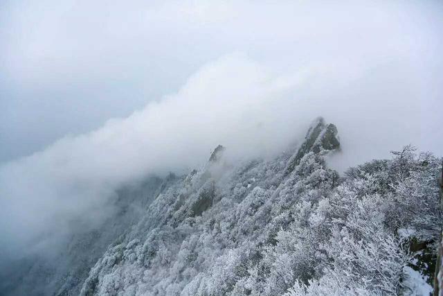 雪花什么的落下来，雪花什么的落下来落到了什么的叶上？