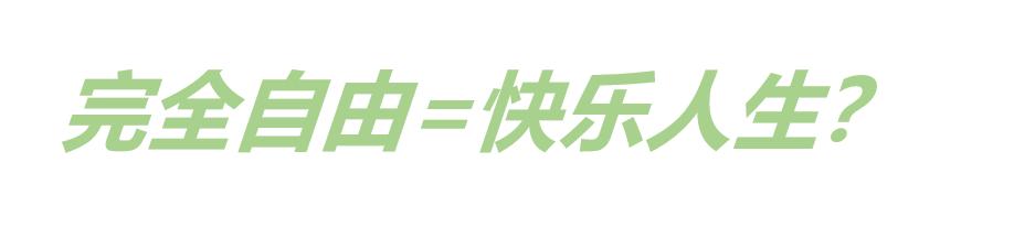 轻自由是什么，轻自由是什么公司的？