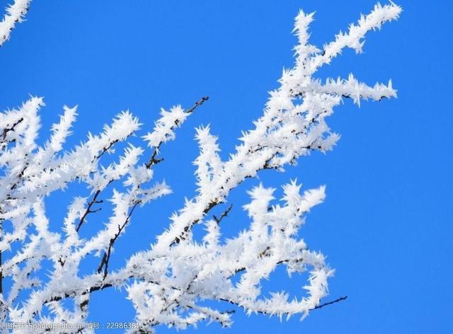 雪花什么的落下来，雪花什么的落下来落到了什么的叶上？