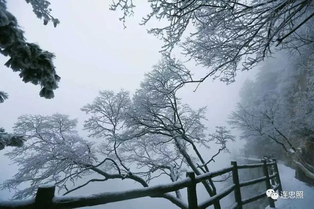 雪花什么的落下来，雪花什么的落下来落到了什么的叶上？