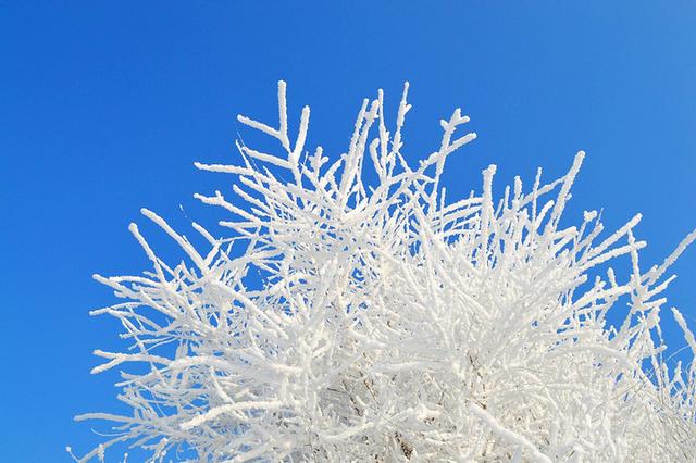 雪花什么的落下来，雪花什么的落下来落到了什么的叶上？