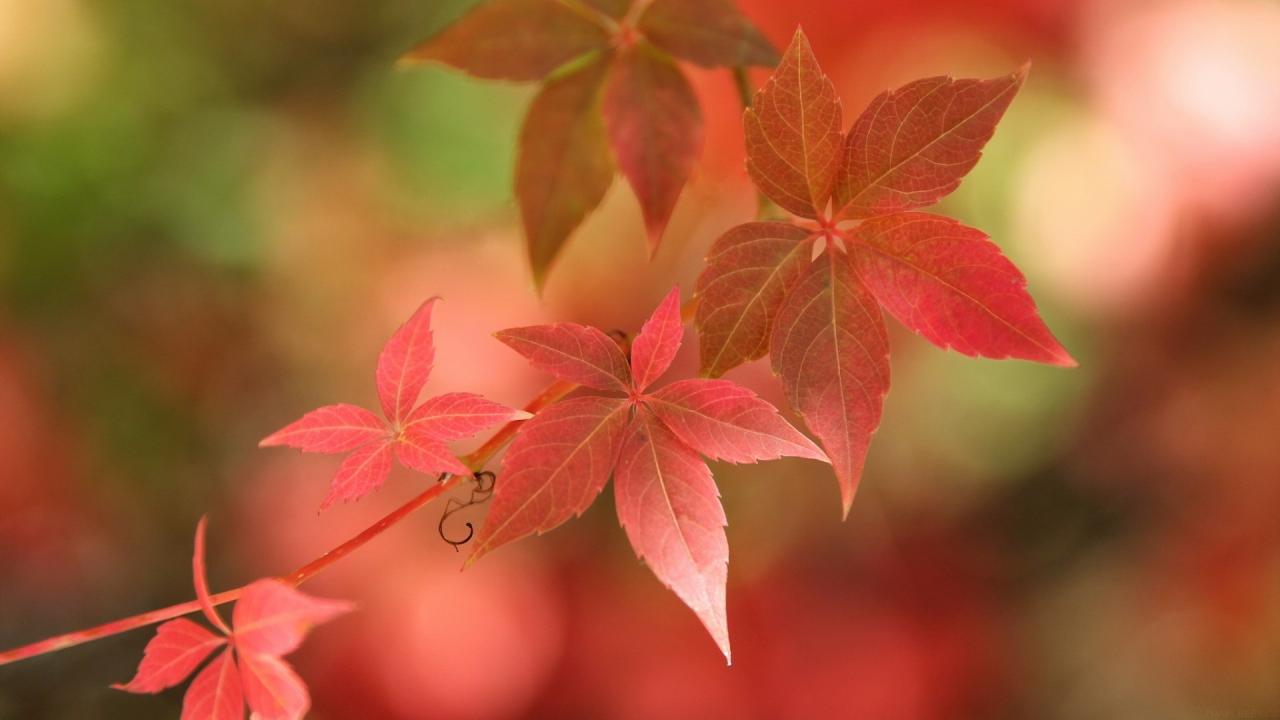 高校教师副业(高校教师副业推荐)